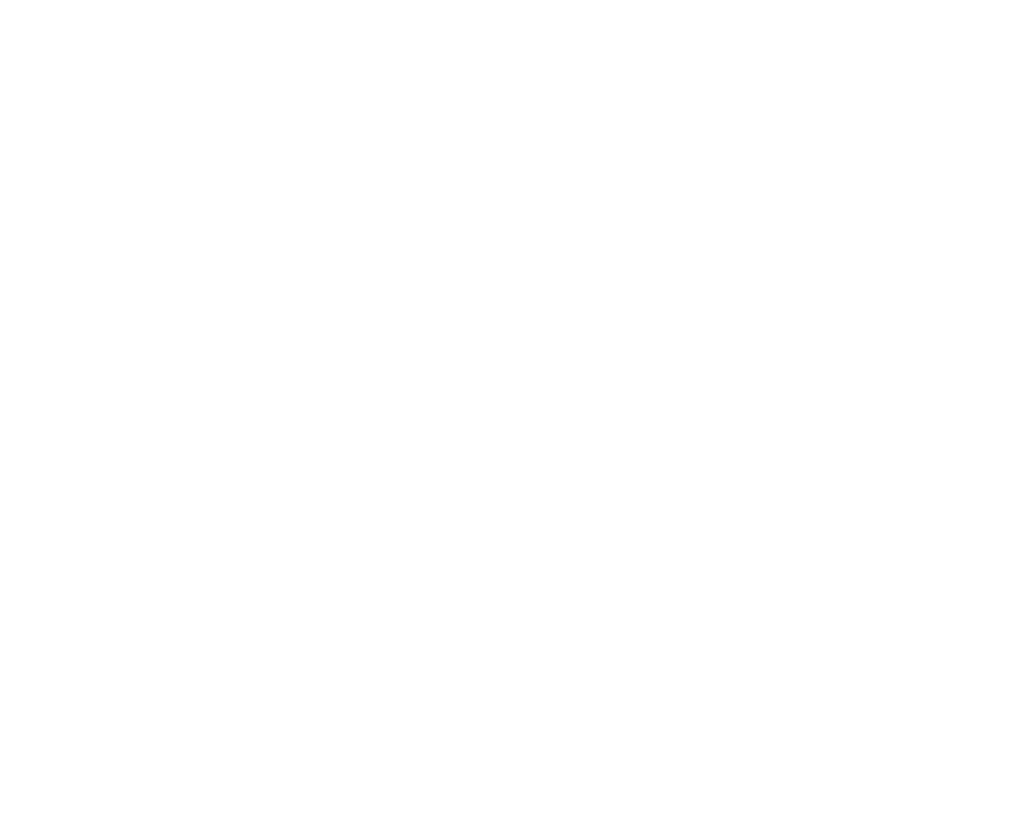 kuechen_autenrieth_laichingen_partner_logo_burnout kitchen_weiss